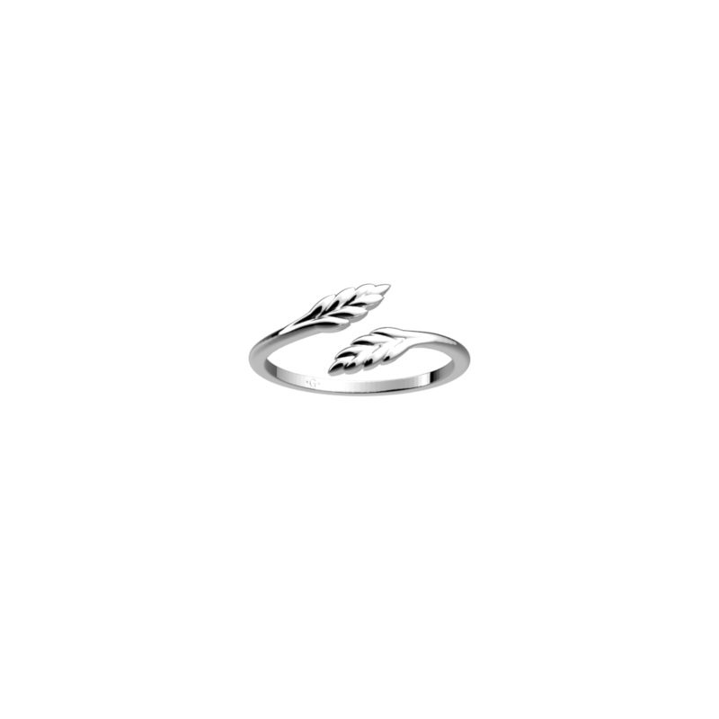 pi ring|-lesgeorgettes