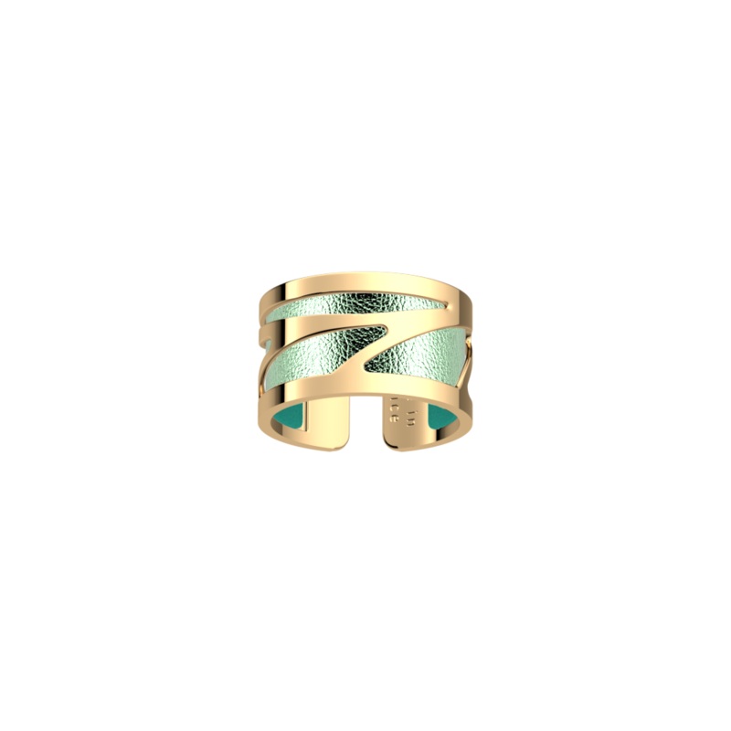 Ara ring, Metallic Aquamarine / Aquatic reversible insert-lesgeorgettes